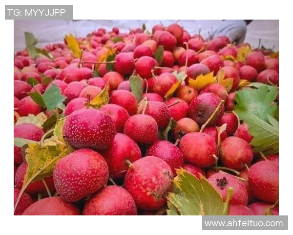 陈强独家分享排球心得与技巧助你提升球技的全面指南